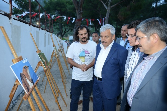 Adrasan’da Akkarınlı Ebabil Şenliği Başladı