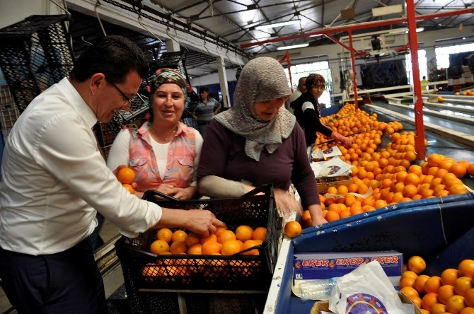 AK Parti Adayı Uslu’ya, doğup büyüdüğü mahalleden tam destek