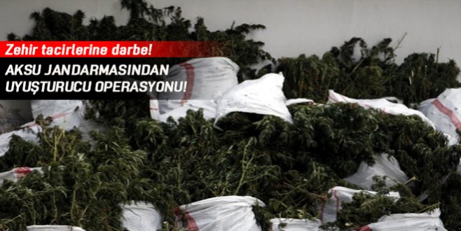 Aksu jandarmasından uyuşturucu operasyonu!