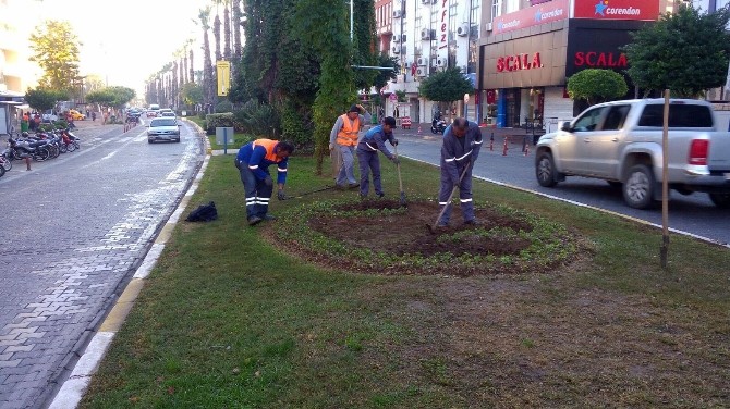 Alanya Caddelerine kışlık bakım