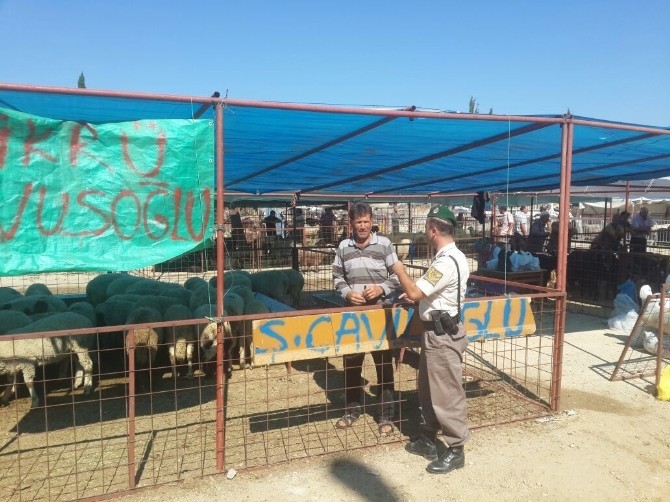 Alanya'da jandarma kurban satıcılarını uyardı