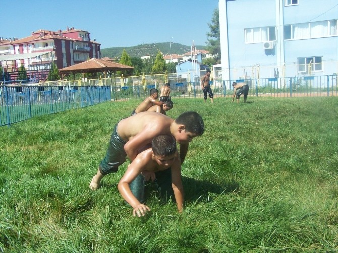 Altın yayla kiraz yağlı pehlivan güreşlerine hazırlık