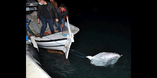 Antalya'da denizde erkek cesedi bulundu