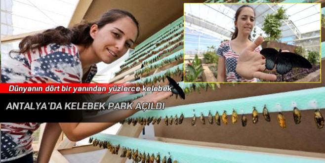 Antalya’da kelebek park açıldı