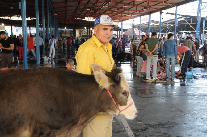 Antalya da kurban manzaraları