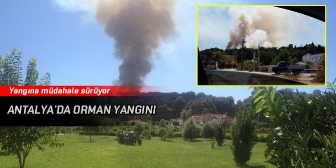 Antalya’da orman yangını
