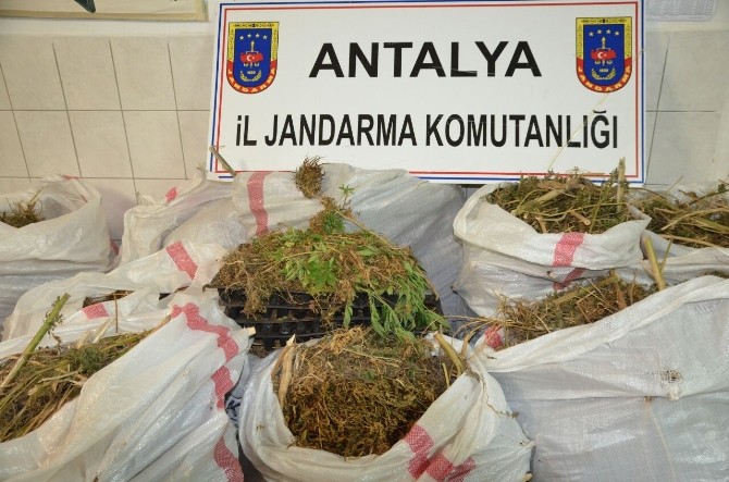 Antalya'da jandarmadan uyuşturucu operasyonu