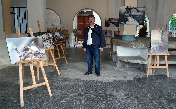 AÜ Güzel Sanatlar Fakültesi Dekanı Sarı’dan Meis Adası’nda fotoğraf sergisi