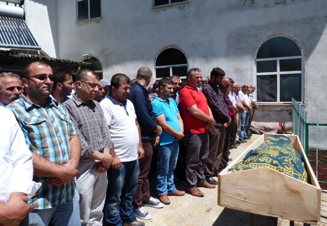 Bal sağımı yapan şahıs ARI'ların saldırısında hayatını kaybetti