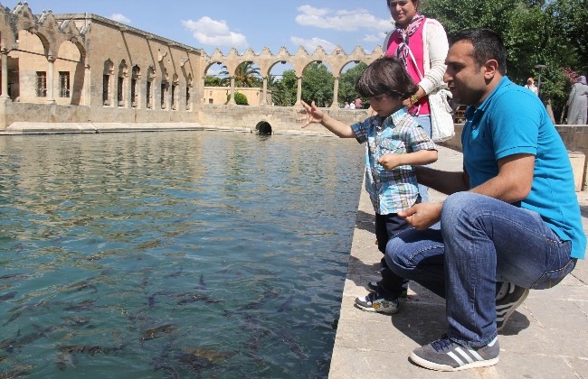 Balıklı gölde diyet sona erdi