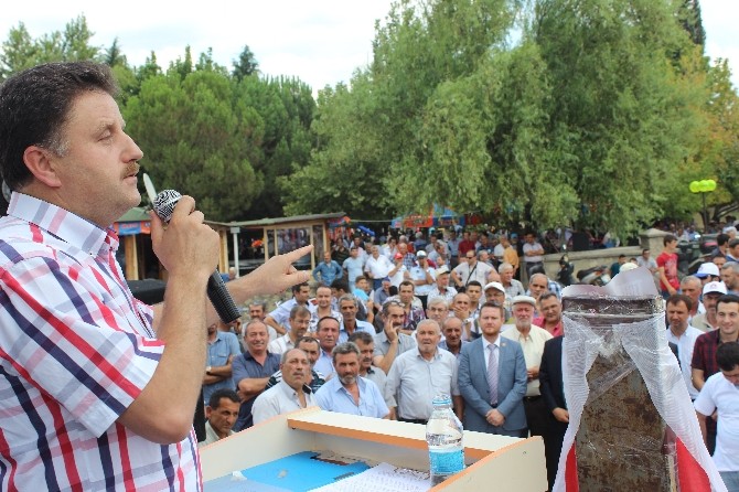 Başbakan Erdoğan'a destek mitingi