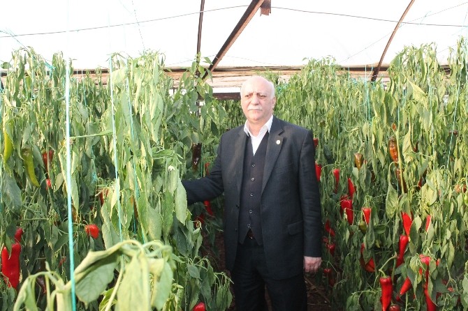 Bayraktar, ''Tek çözüm tünel açmaktır'' 