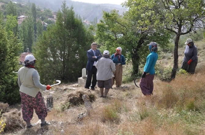 Bayram öncesi mezarlık temizliği