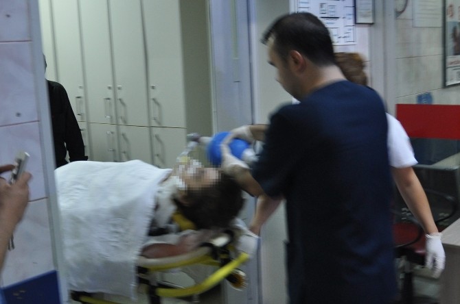 Bonzai Zehirlemeye Devam Ediyor