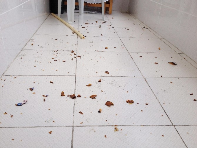 Boşandığı eşinin evini molotof kokteyli ile yakmak istedi