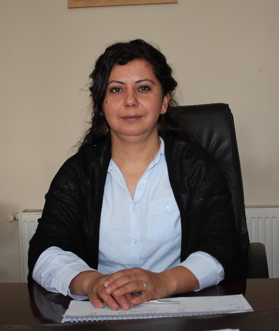 Brucella hastalığına karşı aşı yapılıyor