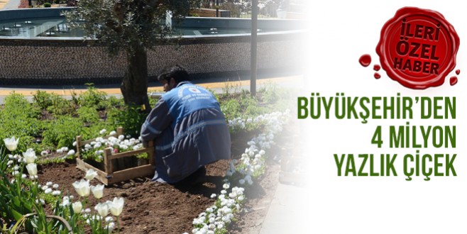 Büyükşehir’den 4 milyon yazlık çiçek