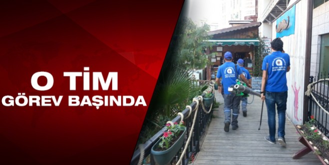 Büyükşehir, sinek ve haşerelerle mücadeleye devam ediyor