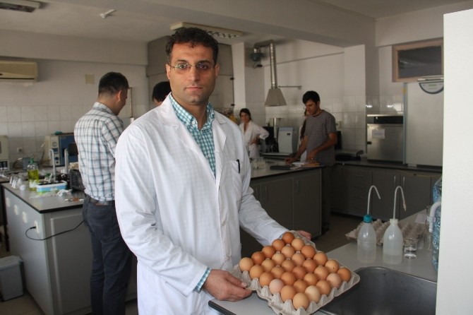 Çiğ yumurta yemek gıda zehirlenmesine neden oluyor