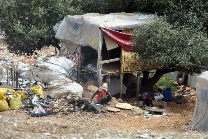 Çöpün içerisinde yaşam mücadelesi 