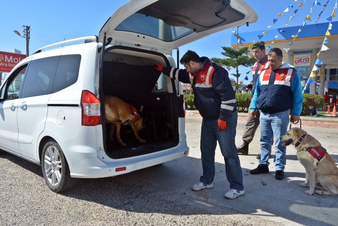 Demre’de jandarmadan sıkı denetim