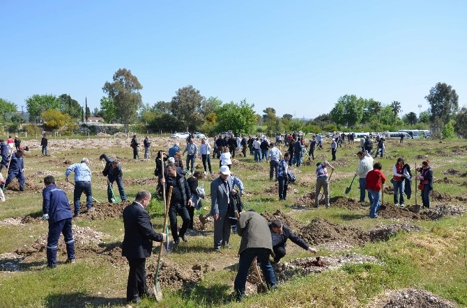 DSİ, fidanları toprakla buluşturdu