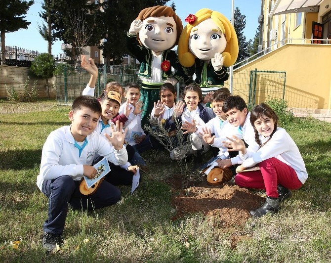 ECE-efe öğrencilerle zeytin fidanı dikti