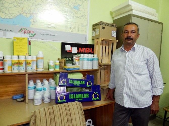Elmalı'da