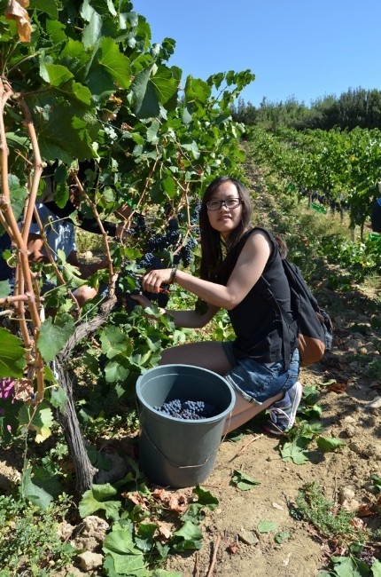 Elmalı'nın tanıtımına MYO'dan destek