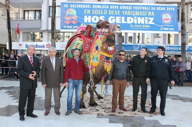 ’En Süslü’ Develer Podyuma Çıktı