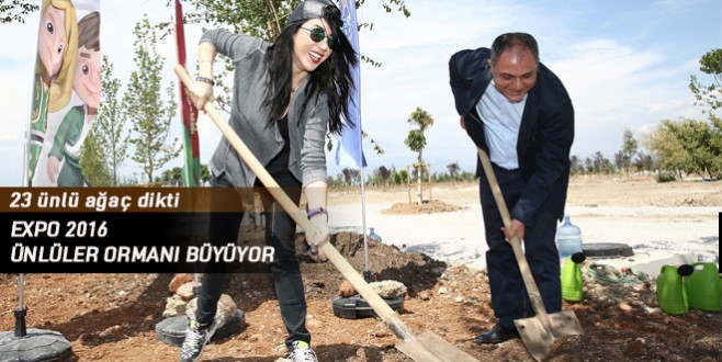Expo 2016 ünlüler ormanı büyüyor