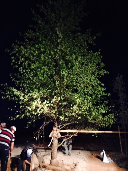 EXPO 2016’nın Transplantasyon gururu