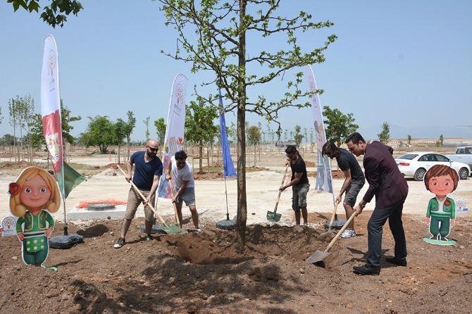 EXPO 2016’ya bir ağaç da Kolpa’dan