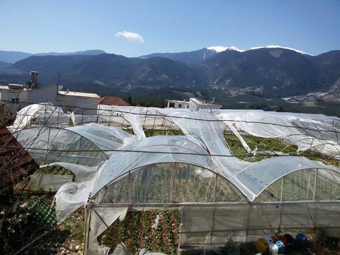 Finike’de Hortum Seralara Zarar Verdi