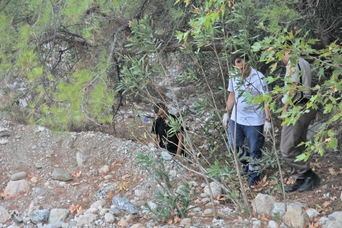Genç turizmci ağaçta asılı bulundu