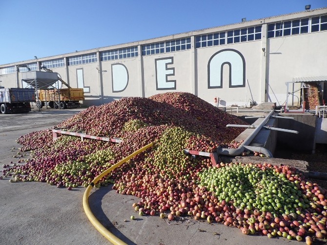 Golden, Ankon alımına başladı