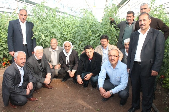Güneydoğulu üreticiler Antalya'da seraları gezdi 