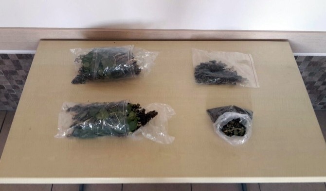 Jandarmadan uyuşturucu baskını