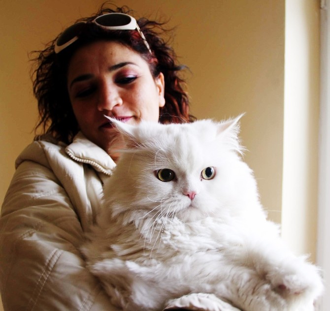 Kedinin tahliye kararını yargı bozdu