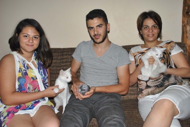 Kediyle güvercinin şaşırtan yakınlığı