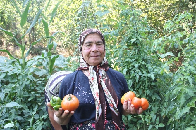 Kemer'de mermer ocağı isyanı