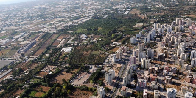 Kırcami'de yüzde 40 zayiat olacak