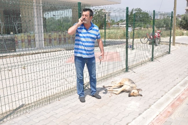 Köpeği önce motosikletin arkasına bağlayıp sürükledi sonra ölüme terk etti