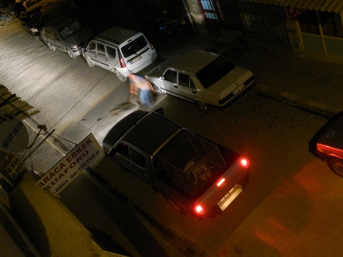 Köpeklere gece yarısı operasyonu iddiası