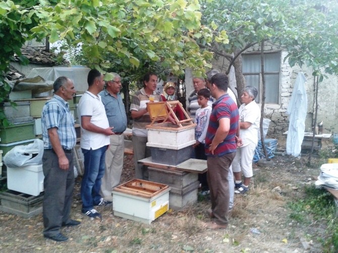 Korkuteli'nde arıcılık kursu tamamlandı