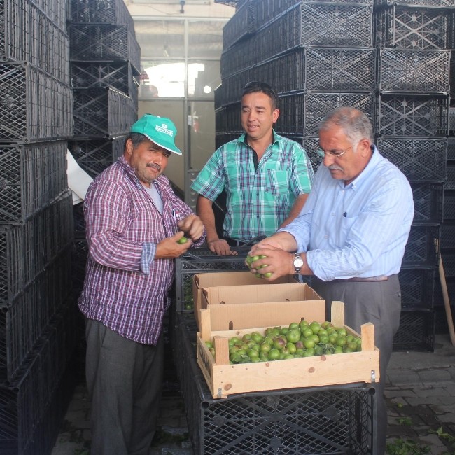 Korkuteli'nde hal sezonu açıldı