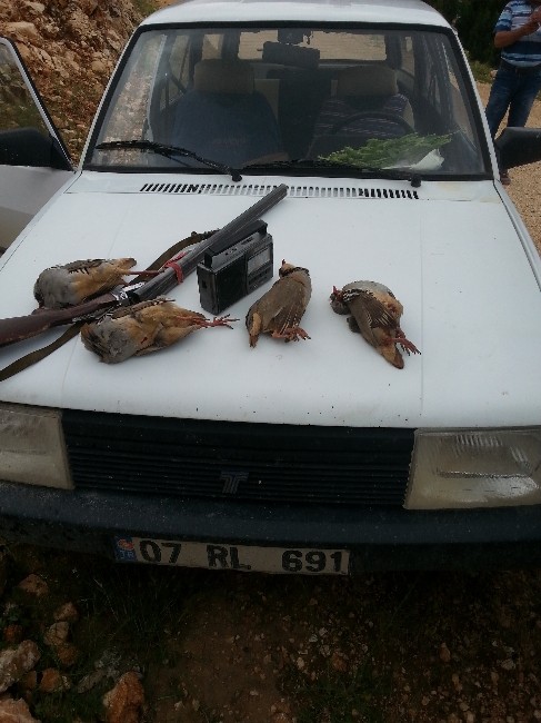 Korkuteli’nde kaçak ava 3 bin TL ceza