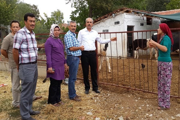 Korkuteli'nde kültür mantarı üretimi yaygınlaşıyor