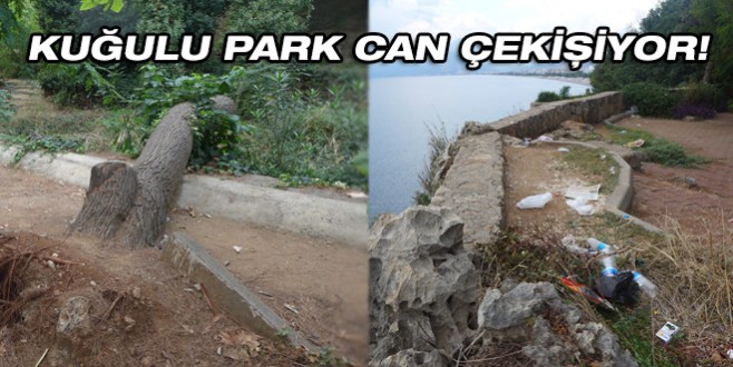 Kuğulu Park can çekişiyor