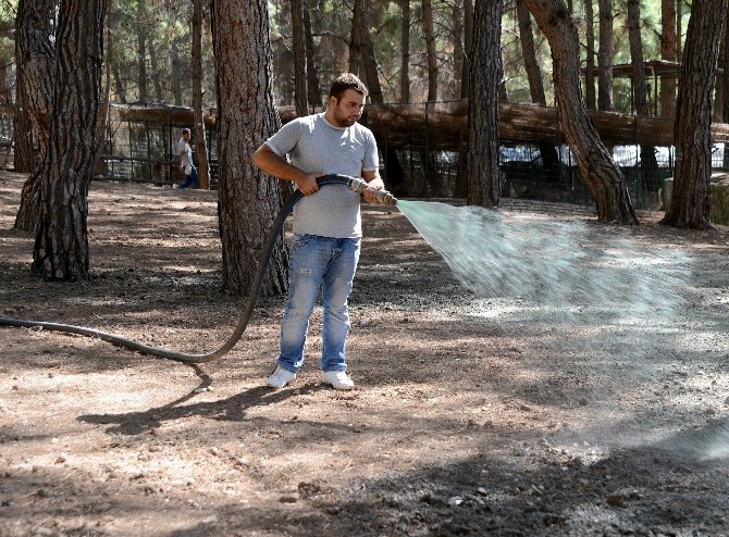 Kumluca sarnıç tepesi 1,5 ay piknikçilere kapalı